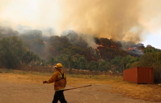 Extinguen incendio que inició ayer en el Bosque de la Primavera