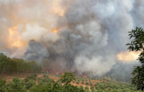 Incendio forestal afecta Mazamitla y Concepción de Buenos Aires