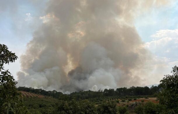 Liquidan incendio forestal en sierra de Mazamitla