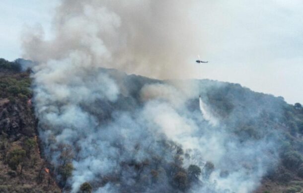 Se registra nuevo incendio en el cerro de El Colli