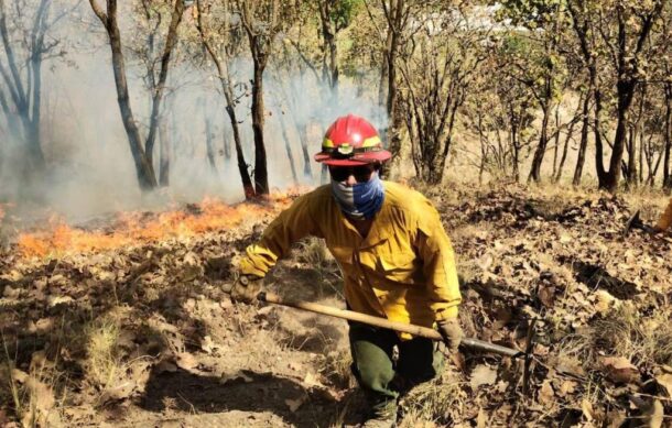 Reportan descenso de incendios forestales este año