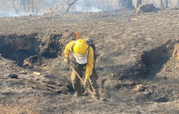 Controlan incendio en predio Las Tinajitas de La Primavera