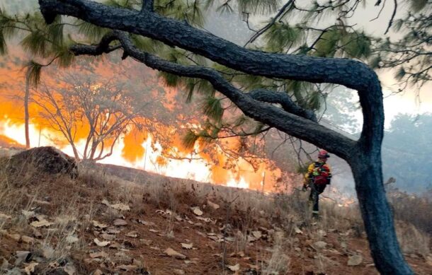 Reportan incendio en zona de Las Tinajas en La Primavera