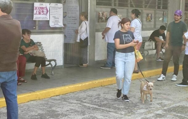 Acuden a votar acompañados de sus perros