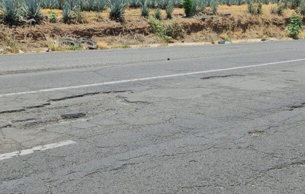 Deplorable estado de carreteras federales en Jalisco: Alfaro