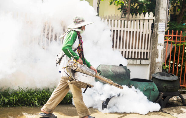 Refuerzan acciones para eliminar al mosquito transmisor del dengue