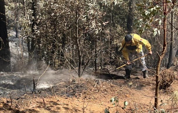 Municipios del suroeste y norte de Jalisco, los más afectados por incendios forestales