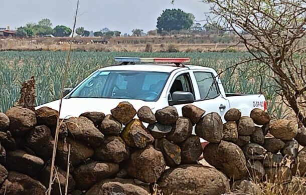 Localizan cadáver calcinado en Zapotlanejo