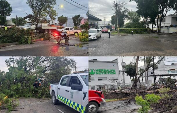 Secuelas de tormenta nocturna prevalecen en ZMG