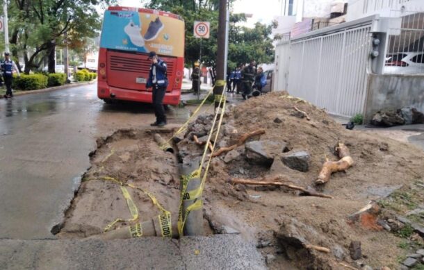 Accidente de unidad del transporte deja siete lesionados