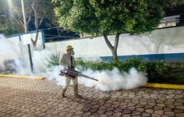 Oaxaca enfrenta epidemia de dengue