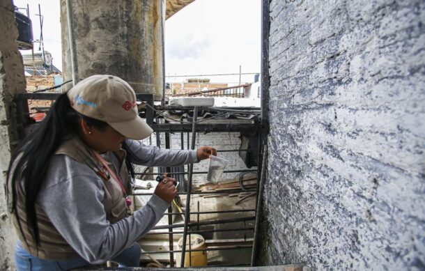 Refuerzan campañas para combatir el dengue en Jalisco