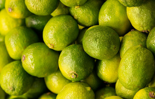 Garantizan protección de limoneros en Michoacán