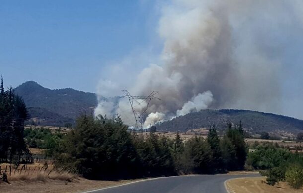 Detienen a presunto implicado en incendio de Tapalpa