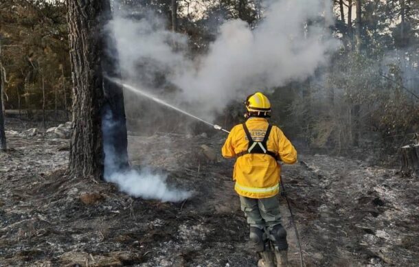 Vinculan a proceso a responsable de incendio forestal en Tapalpa