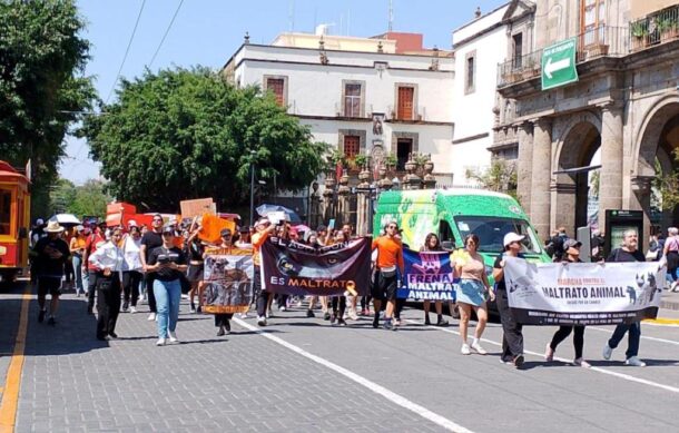 Marchan contra el maltrato animal en GDL