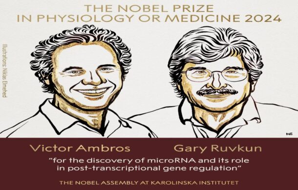 Revelan a los ganadores del Premio Nobel de Medicina 2024