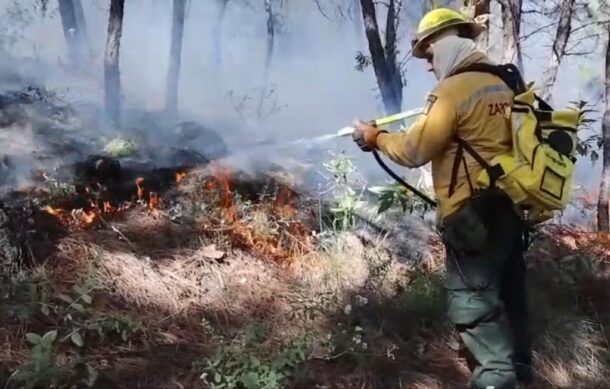 Trabajan brigadistas forestales  para prevenir incendios en Zapopan