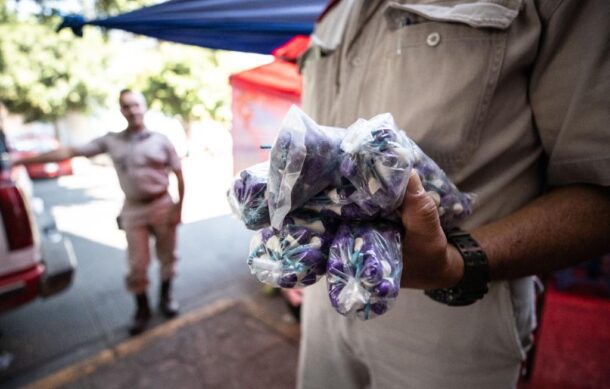 Decomisan en GDL un promedio de cinco  kilos de pirotecnia diario