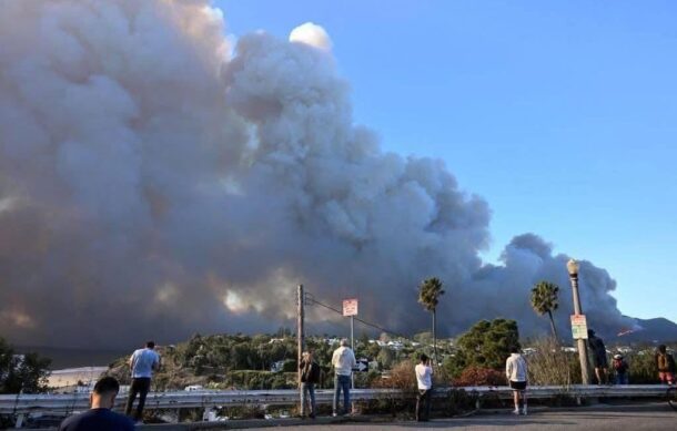 Artistas mexicanos en Hollywood piden apoyo para afectados por incendio en LA