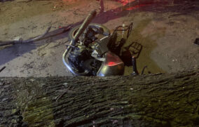 Árbol cae sobre motociclista en la colonia oblatos de Guadalajara