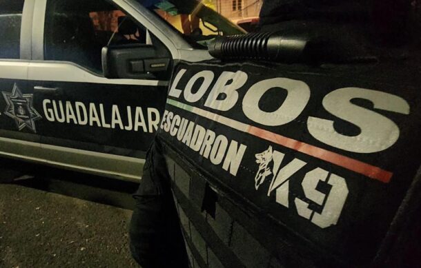 Detienen a 6 con armas de fuego en Jalisco