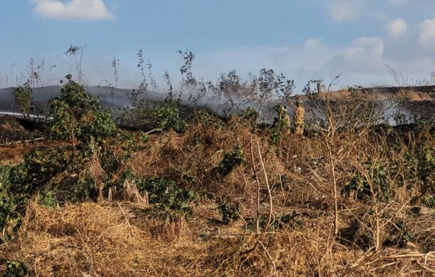 Caabsa exige investigación por incendio en Los Laureles