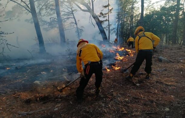 Continúa combate a incendio forestal en Tapalpa