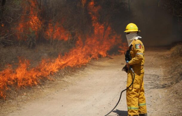 Detienen a presunto responsable de incendio en Bosque El Centinela