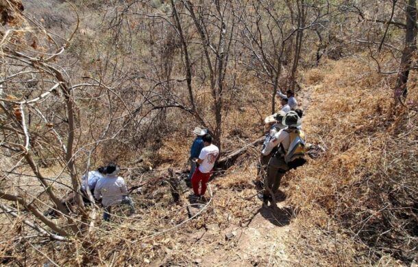 Rescatan a caballo desbarrancado  en GDL