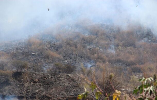 Combaten incendio forestal en Tlajomulco