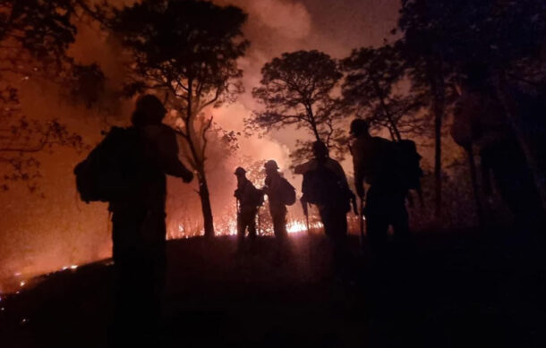 Continúa activo incendio forestal en paraje Puerta de Guadalupe