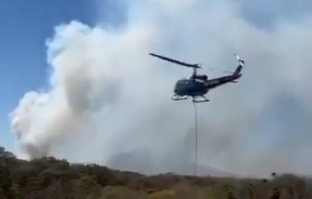 Nuevo incendio forestal en el Bosque de la Primavera