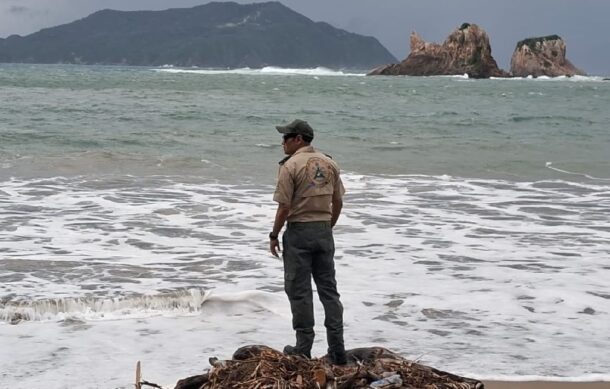 Refuerza vigilancia en playas tras ataque de cocodrilo en Puerto Vallarta