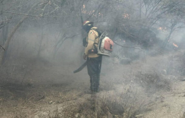 Zapopan registra 133 incendios forestales durante la temporada de estiaje