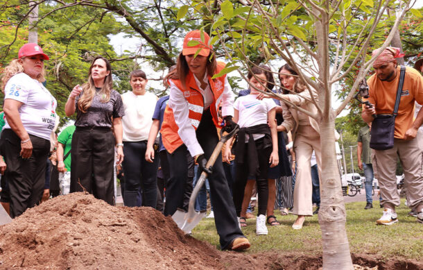 Guadalajara plantará 20 mil árboles durante 2026