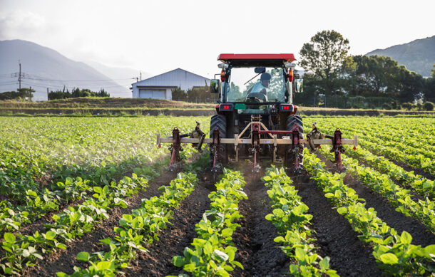 Sector agroalimentario pide mantener sin cambios el T-MEC