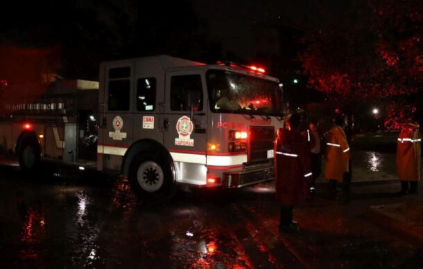 Tormenta del viernes en ZMG derribó 81 árboles