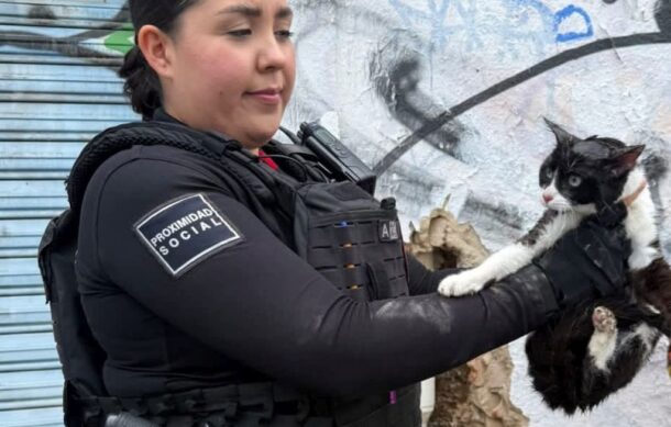 Rescatan a gato atrapado en tubería de Guadalajara