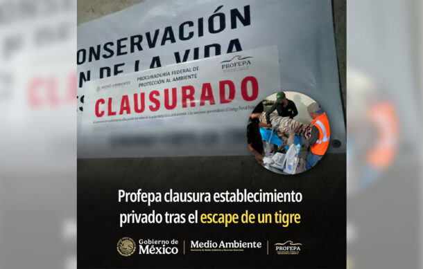 Profepa confirma muerte de tigre y clausura recinto en Edomex