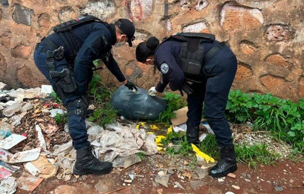 Investigan hallazgo de 30 perros muertos abandonados en El Salto